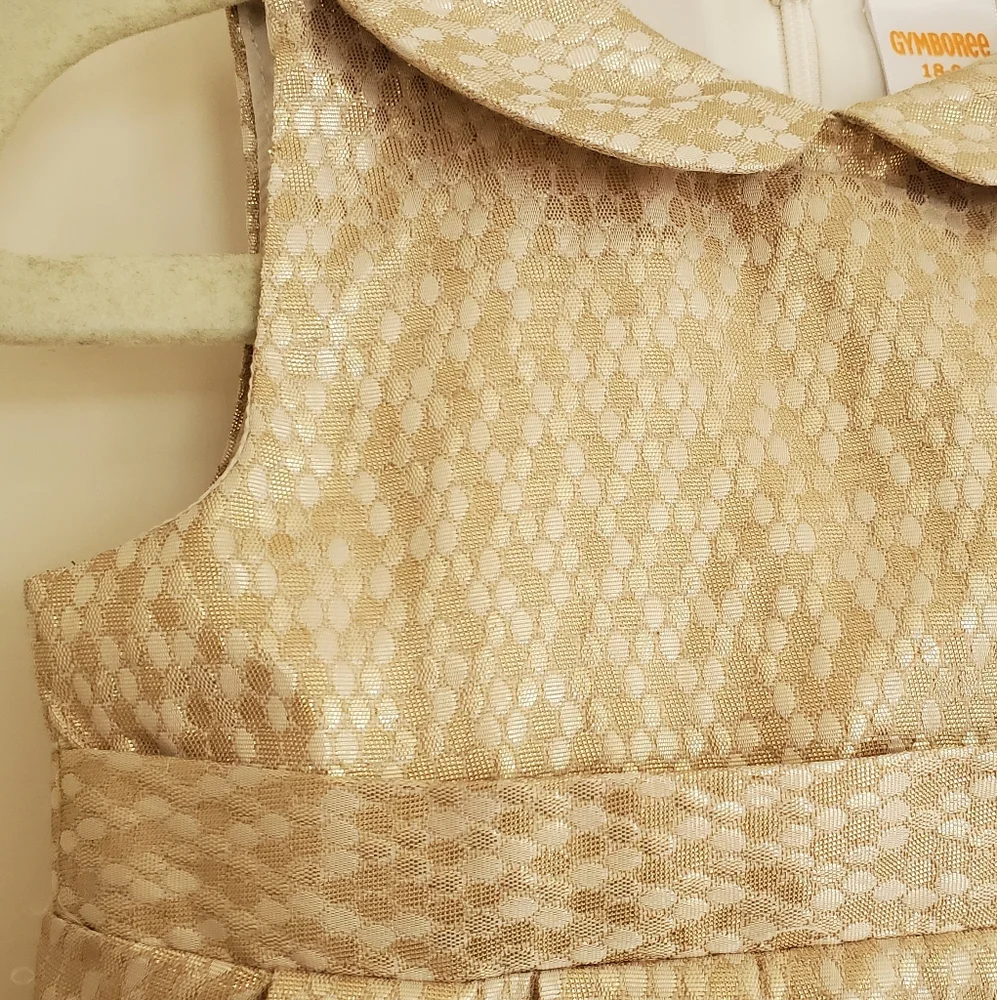 Gymboree Gold Dress